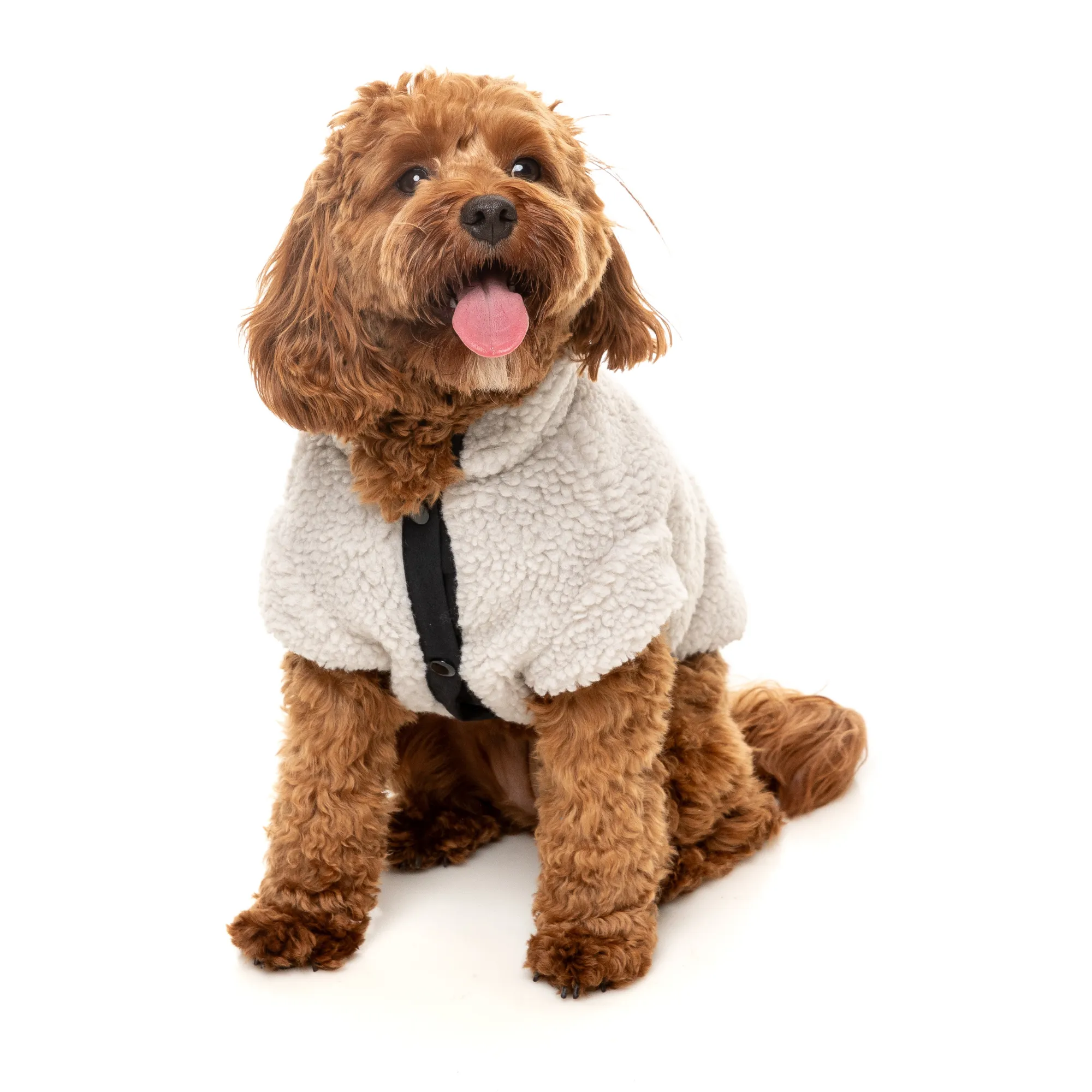 FuzzYard Basecamp Dog Jacket Stone