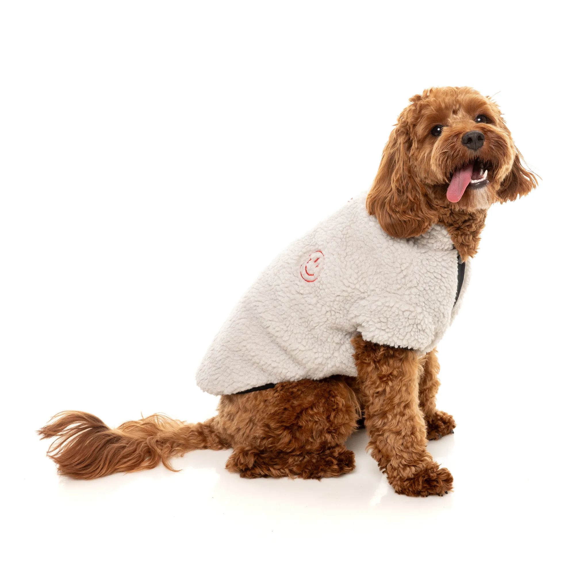 FuzzYard Basecamp Dog Jacket Stone