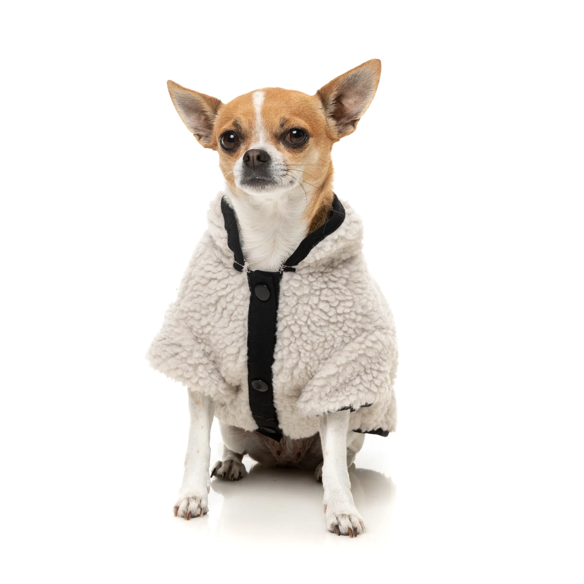 FuzzYard Basecamp Dog Jacket Stone